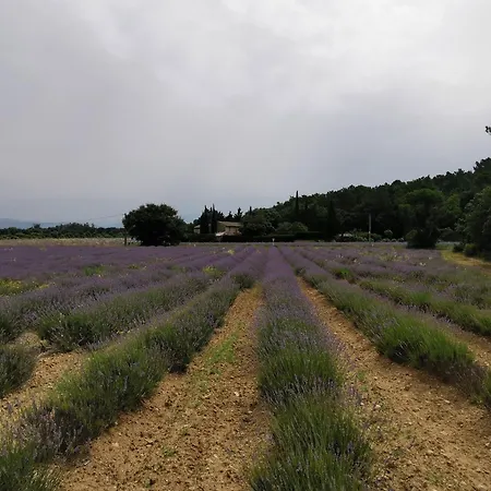 Maison D'hote - La Colline Konukevi